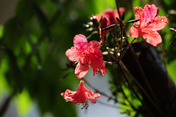 1548646064895026967.jpg 一如初心(中冶天工集團天津有限公司第四建筑工程分公司 陳宜彤 攝影).jpg